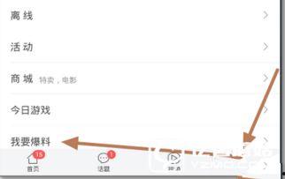 今日头条爆料新闻收入,新闻收入再创新高，揭秘流量变现背后的秘密  第2张